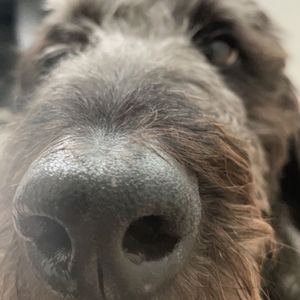 Meet your Posher, Parker